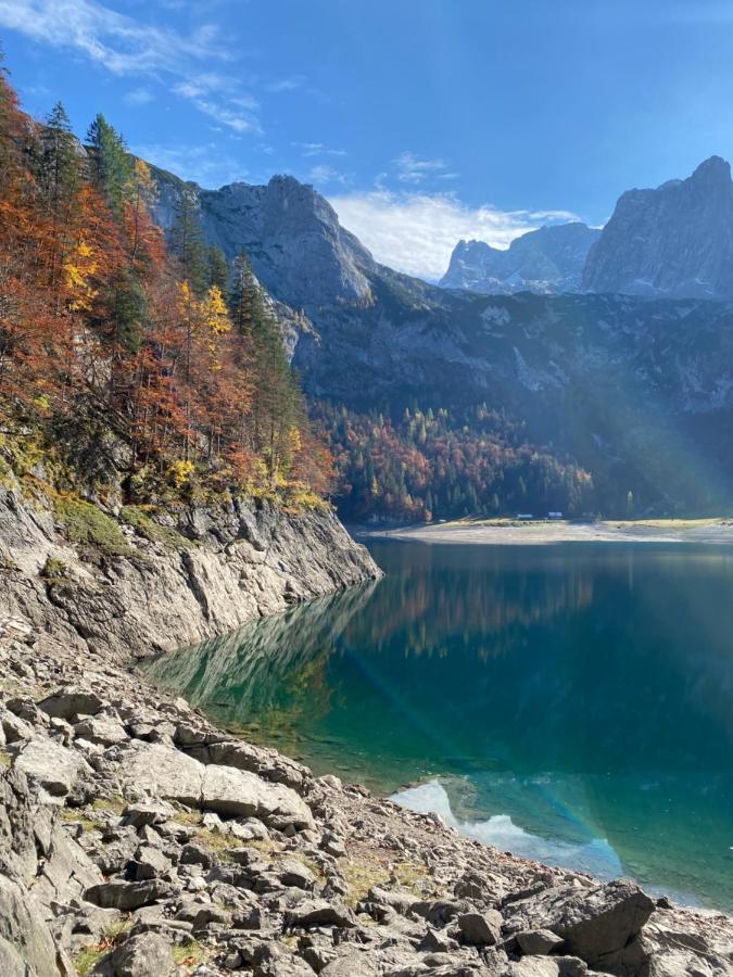 Almsternderl - Gemuetliche In Gosau