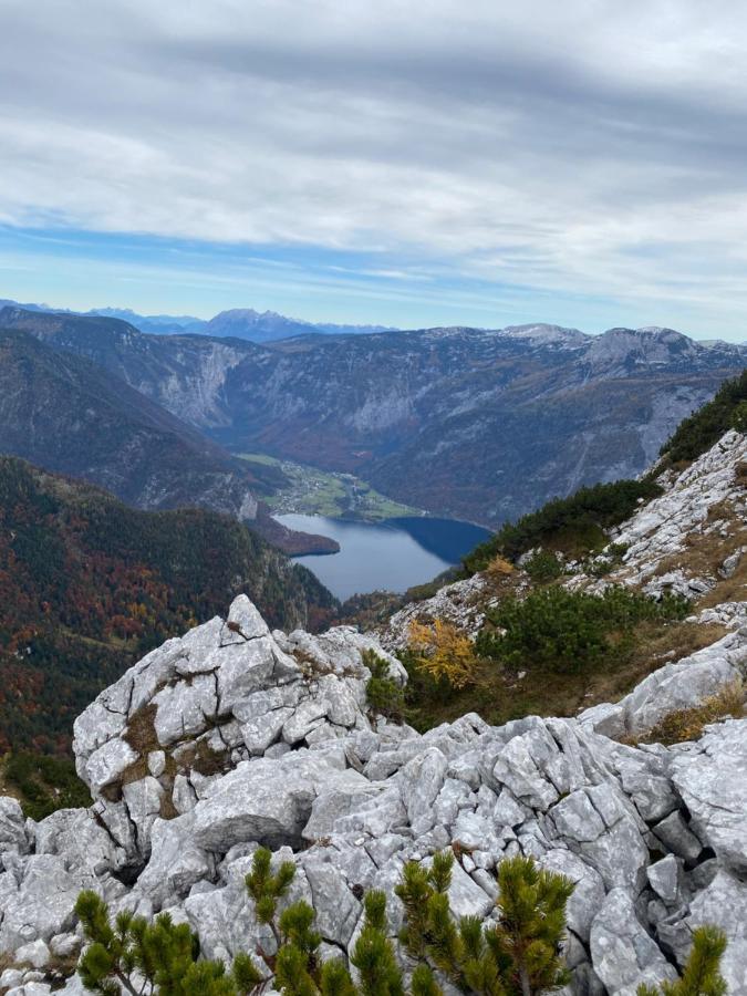 Almsternderl - Gemuetliche In
