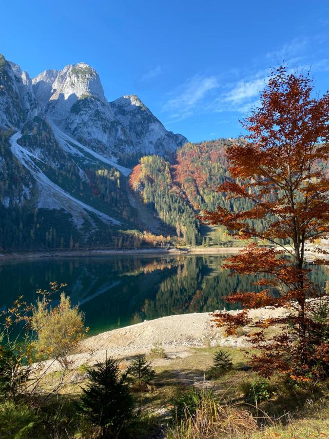 Almsternderl - Gemuetliche In Gosau